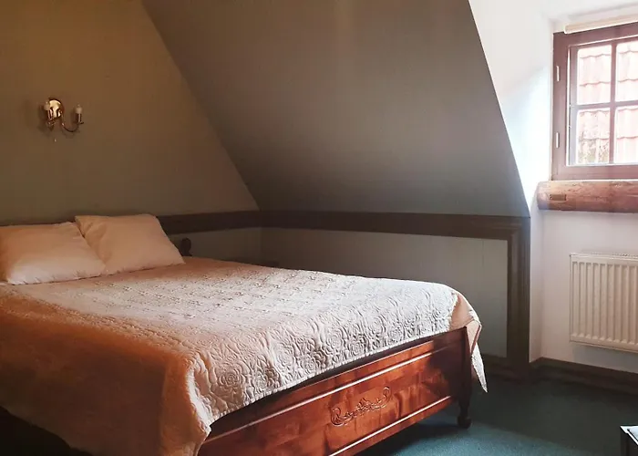 サン ペテルブルグ パルヌ